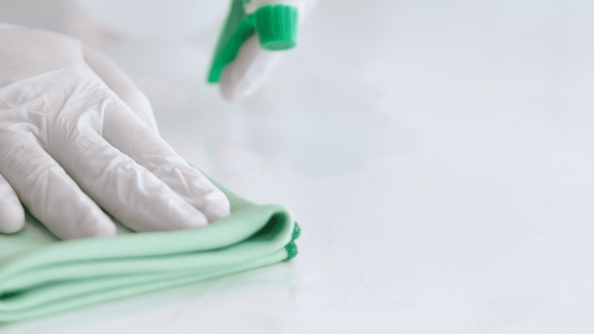 Clean Wall with Plant